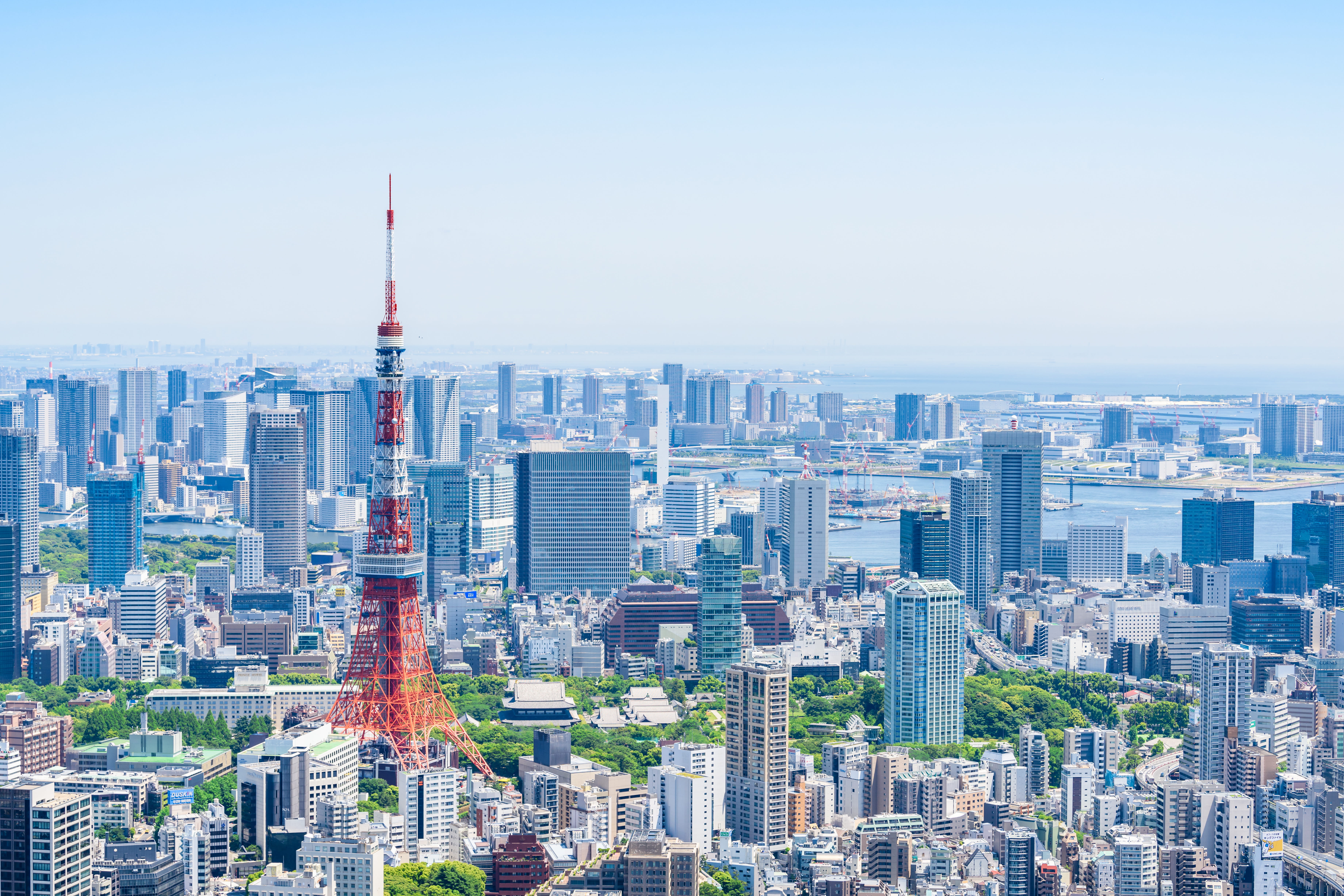 IPCとは
